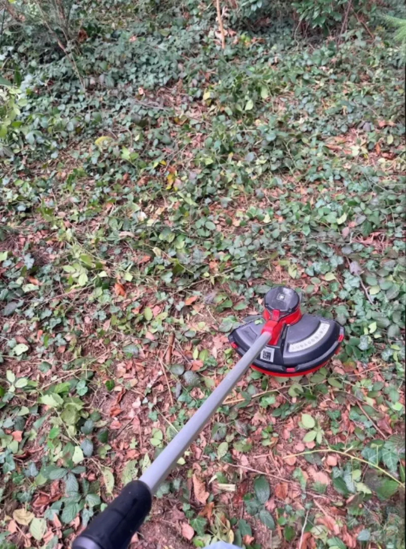 Foto profilo di Andrea P., cliente verificato di Bologna che ha recensito Hipertrimmer